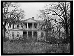 Brookland Plantation