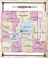 Livingston County 1878 Missouri Historical Atlas